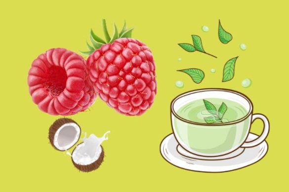 candida diet