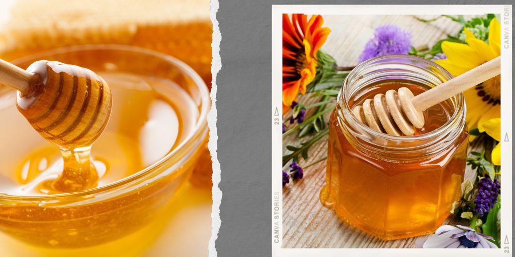 best food for gut health