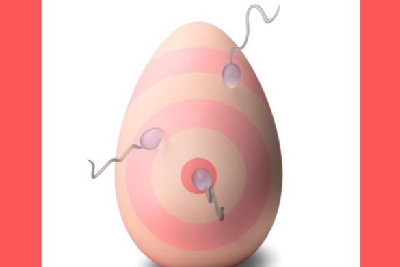 Age Affect Fertility