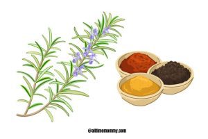 stomach ulcer remedies